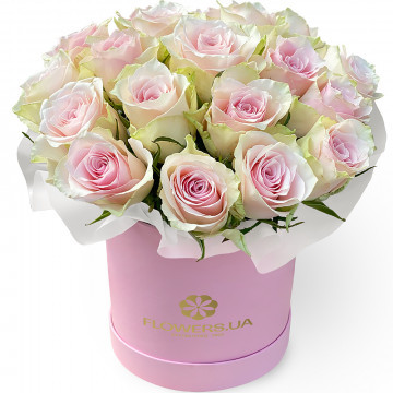 Цветы в коробке "19 роз Pink Athena"